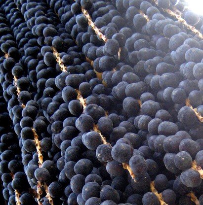  Fotografia em close da fruta Açaí