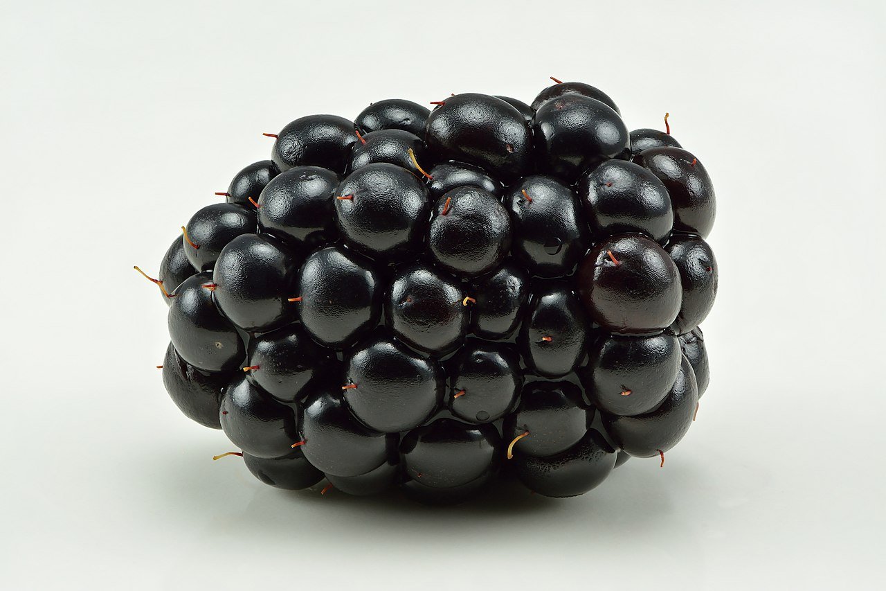 Amora
