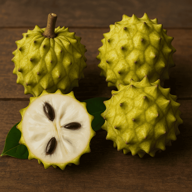 Biribá Fotografia detalhada da fruta Biribá