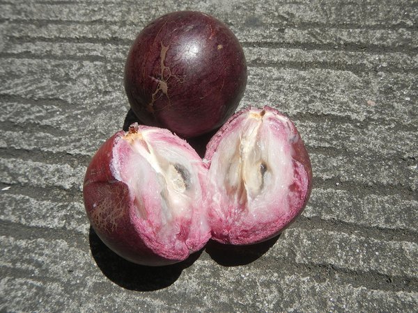  Fotografia em close da fruta Caimito