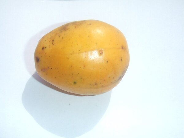  Fotografia em close da fruta Cajá-mirim