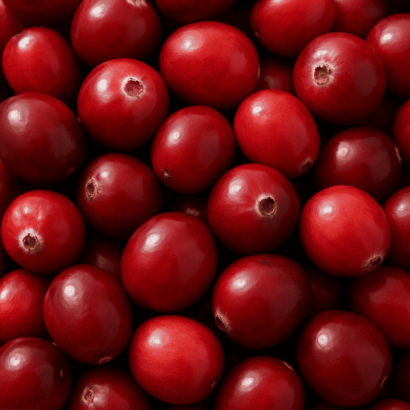Cranberry Fotografia detalhada da fruta Cranberry