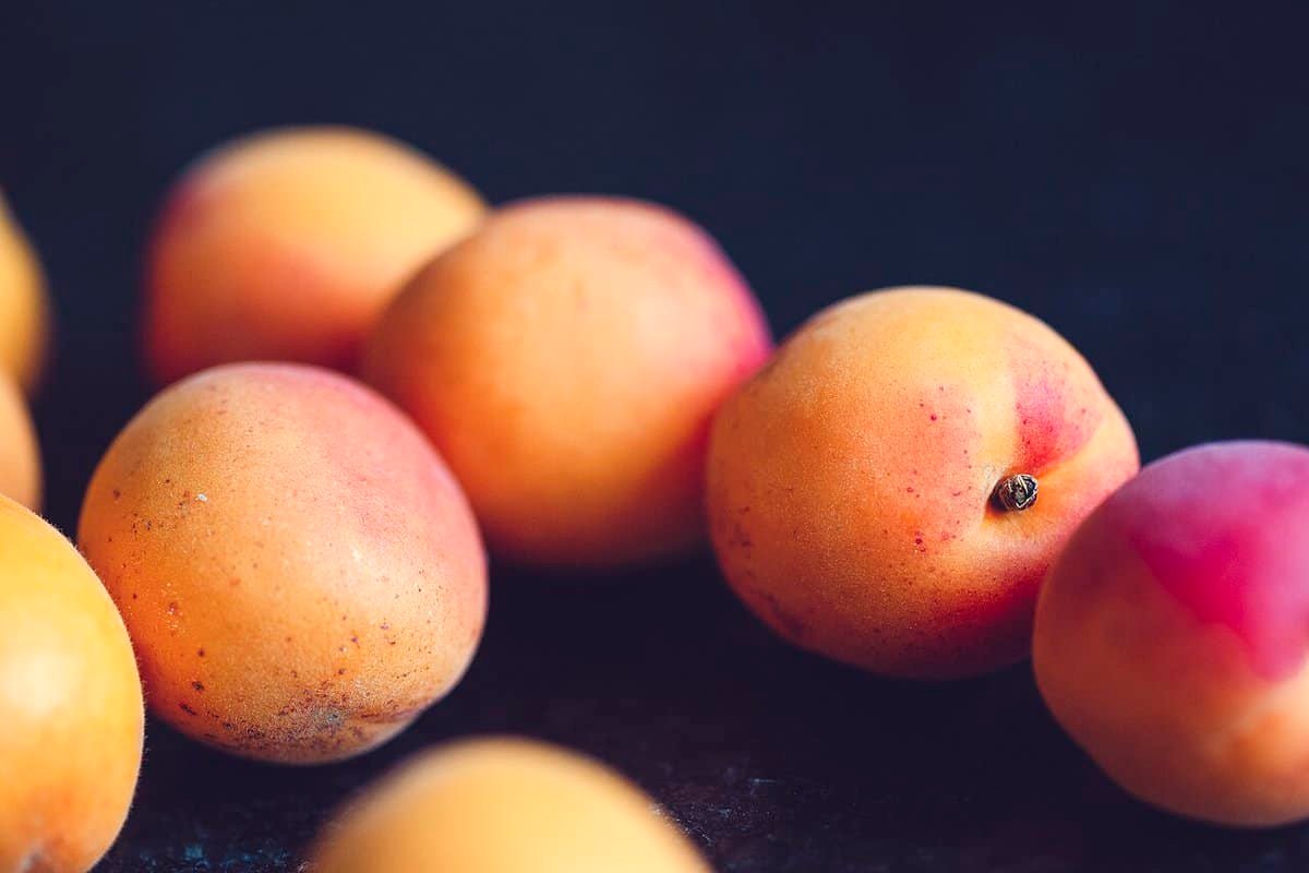 Damasco Fotografia detalhada da fruta Damasco