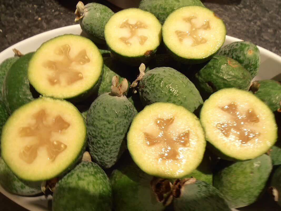 Feijoa Fotografia detalhada da fruta Feijoa