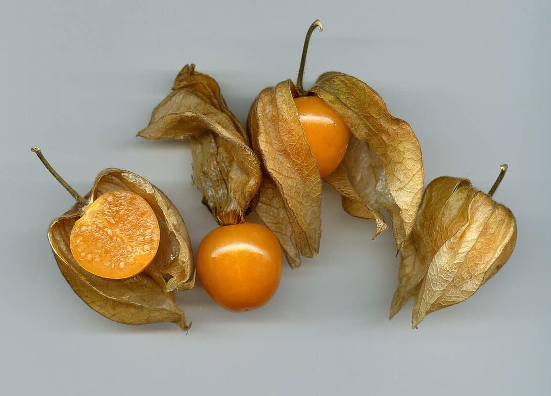 Fisális Fotografia detalhada da fruta Fisális