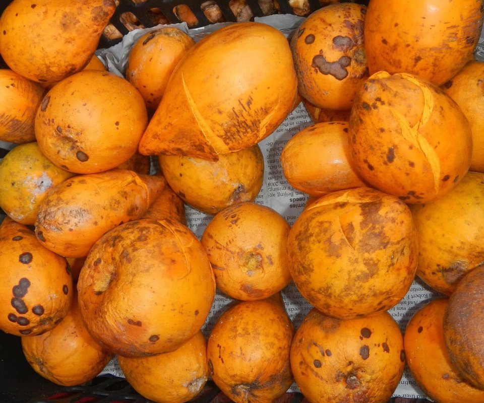 Fotografia em close da fruta Lúcuma