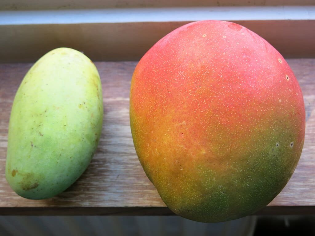 Fotografia detalhada da fruta Manga