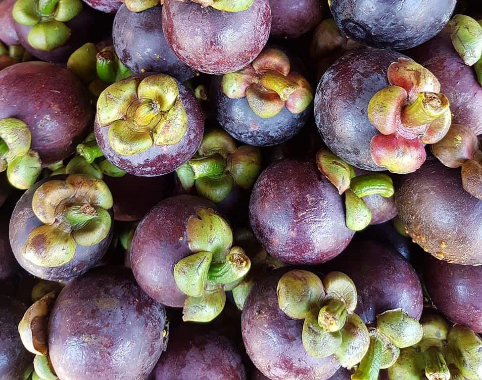 Fotografia detalhada da fruta Mangostão