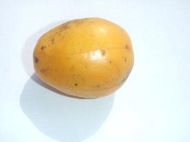  Fotografia em close da fruta Taperebá